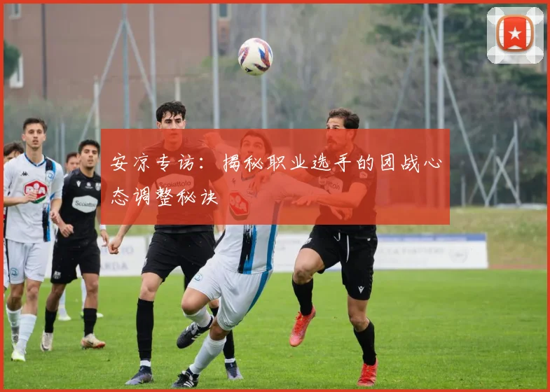 安凉专访:揭秘职业选手的团战心态调整秘诀