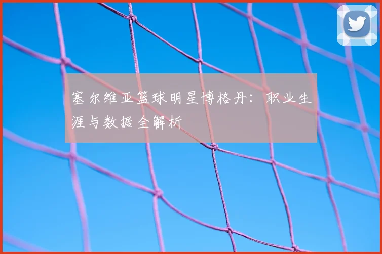 塞尔维亚篮球明星博格丹:职业生涯与数据全解析