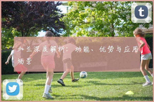 加兰深度解析：功能、优势与应用场景